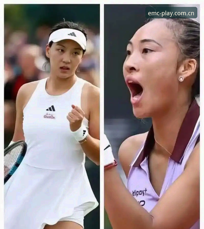 法网女单中国金花vs种子席位争夺战：郑钦文保分压力与王欣瑜突围机会深度对比